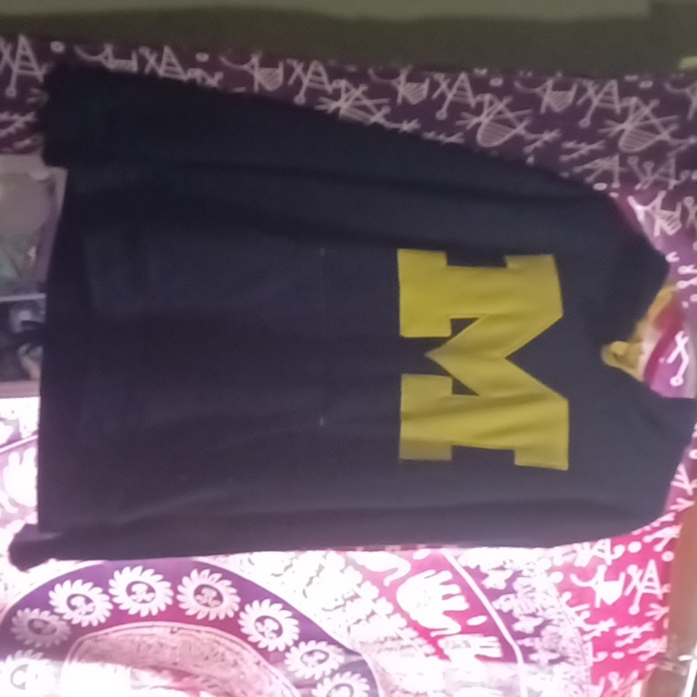 Michigan hoodie
